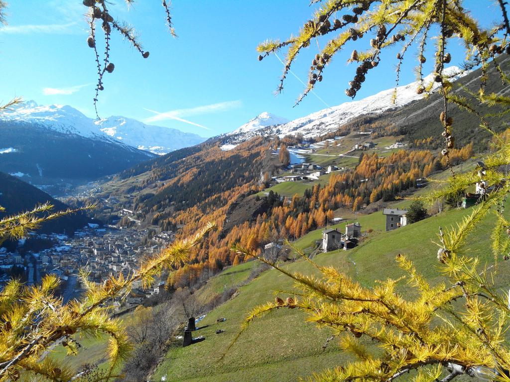 Agriturismo Raethia Isolaccia Kültér fotó