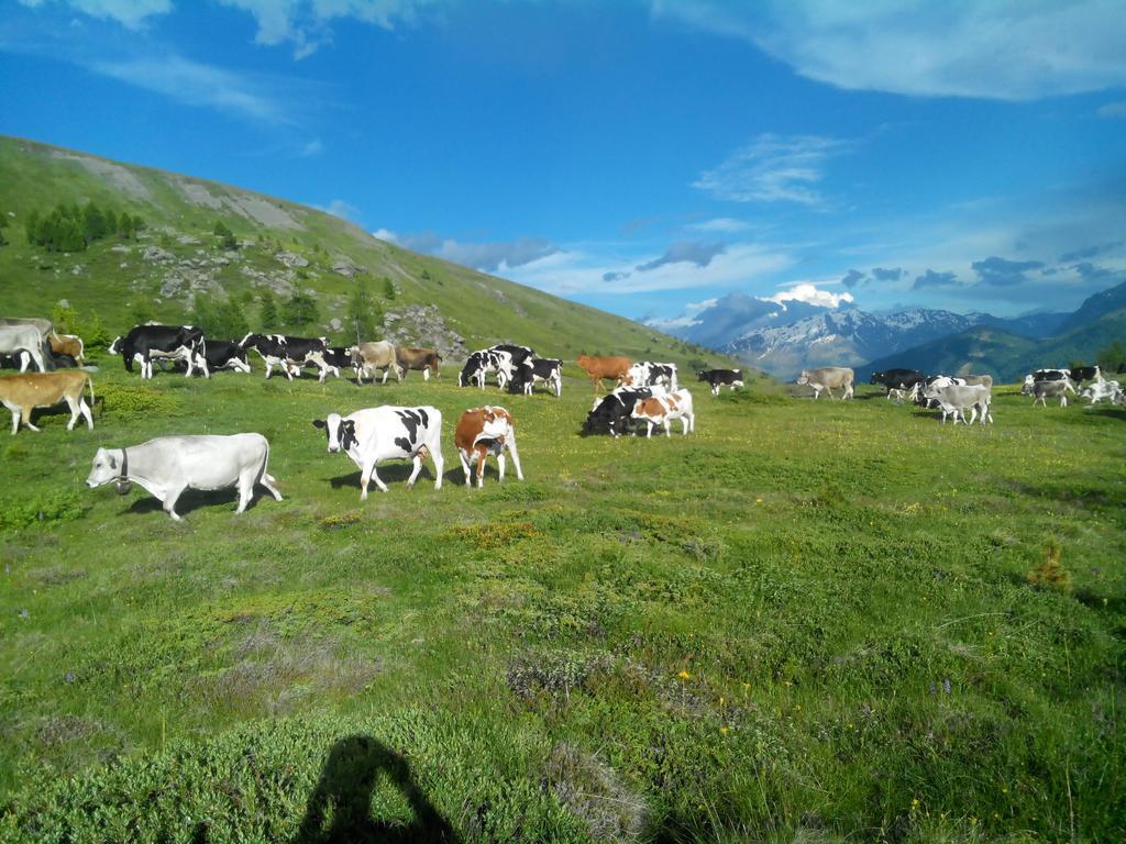 Agriturismo Raethia Isolaccia Kültér fotó