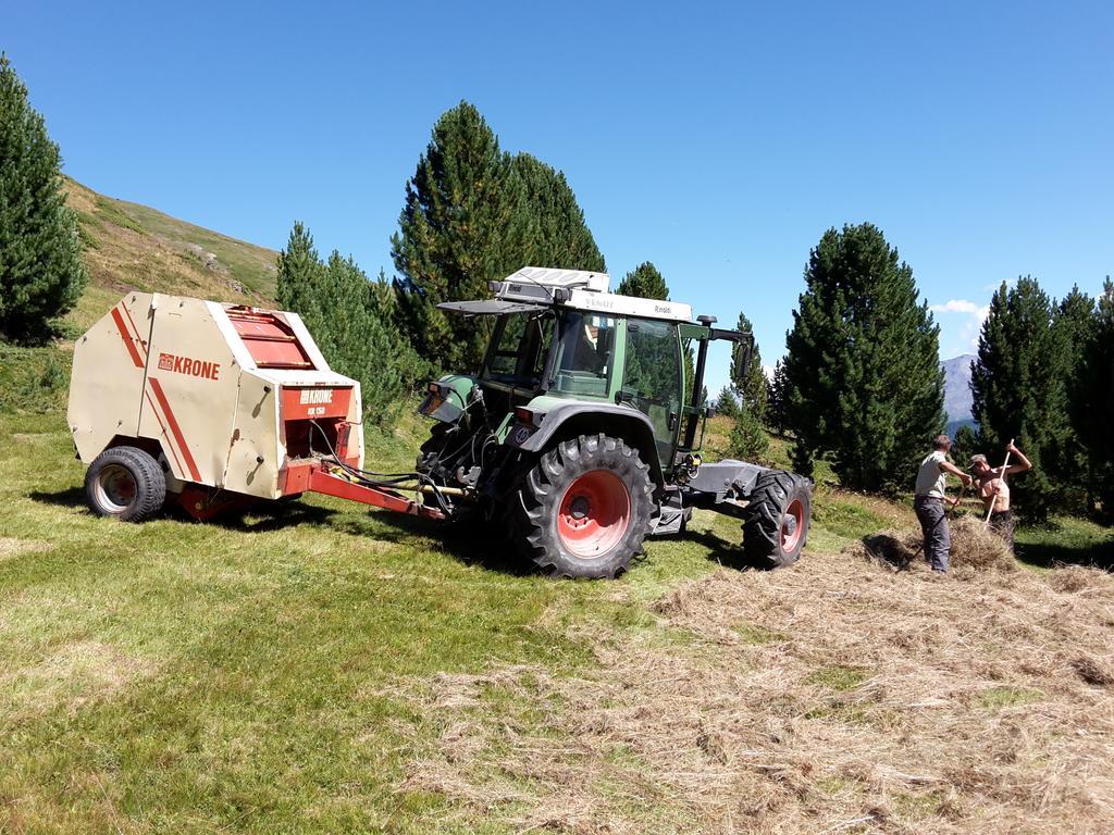 Agriturismo Raethia Isolaccia Kültér fotó