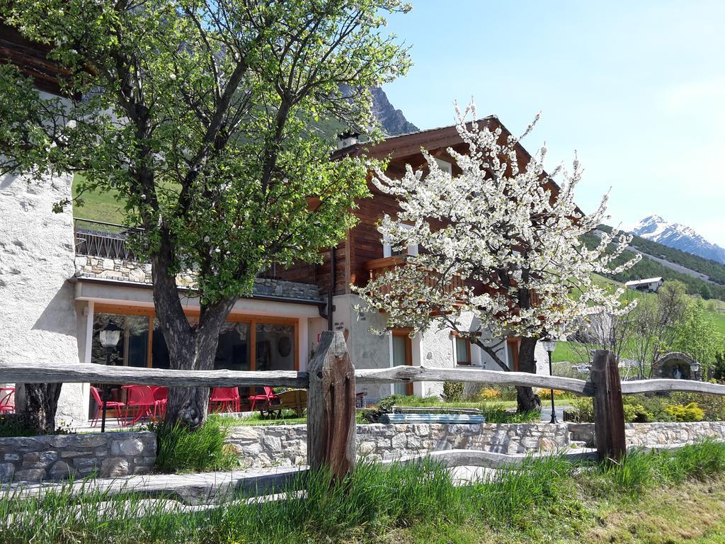Agriturismo Raethia Isolaccia Kültér fotó