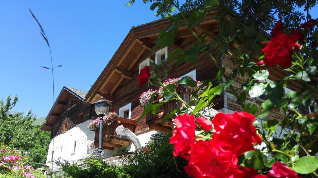 Agriturismo Raethia Isolaccia Kültér fotó